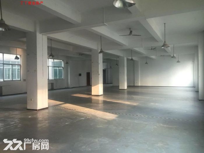 出租高新区多套大平层 可分租各楼层都有-图4