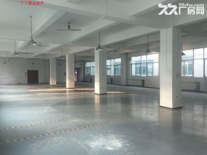 出租高新区多套大平层 可分租各楼层都有-图3