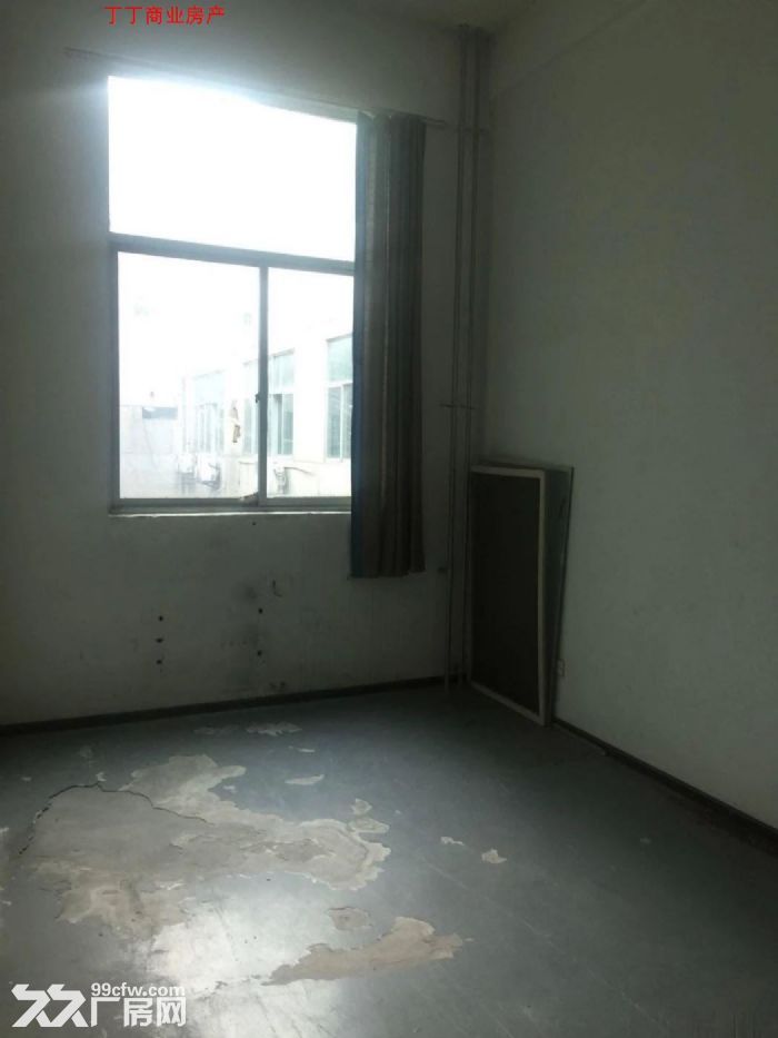 出租高新区多套大平层 可分租各楼层都有-图5