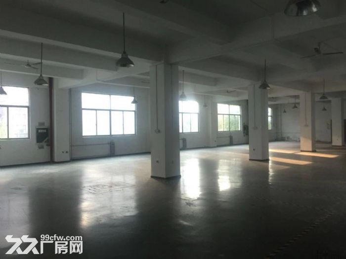 出租高新区多套大平层 可分租各楼层都有-图7