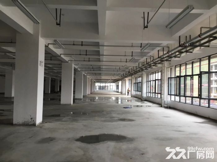 标准钢结构厂房可租可售-图2