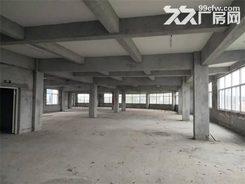 标准厂房 可办产证 承重600kg/㎡ 赠送露台  得房率高-图3
