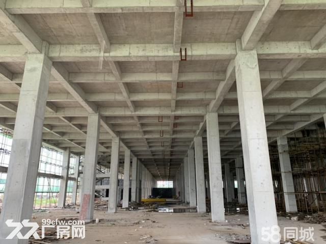 厂房、仓库租售，首付20万，10年超低利率-图2