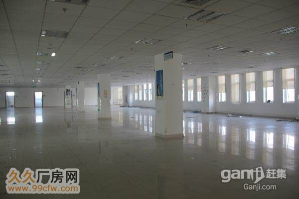 高新 锦业路1300㎡  优质