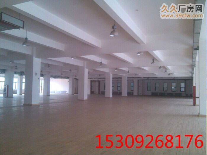 高新1300㎡独栋2层 生产组装厂房-图2
