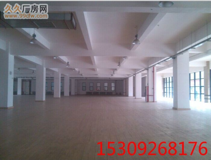 高新1300㎡独栋2层 生产组装厂房-图3