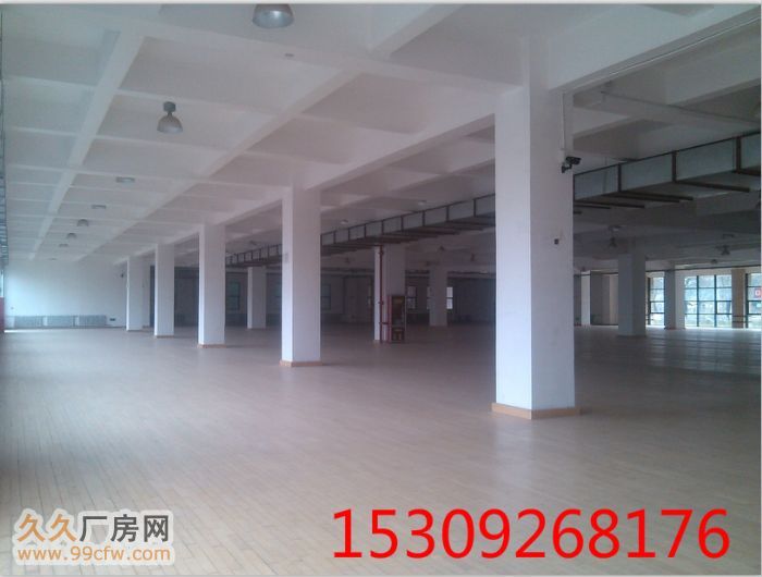 高新1300㎡独栋2层 生产组装厂房-图4