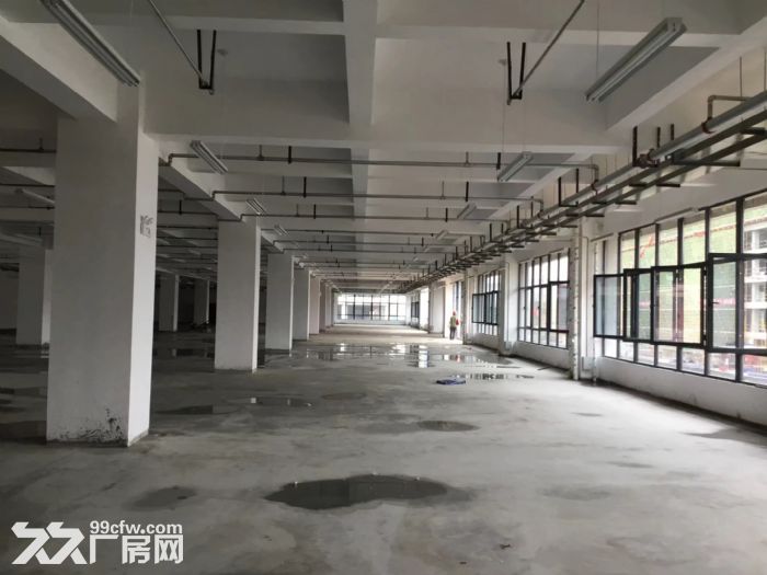 工业厂房现房，出租出售-图2