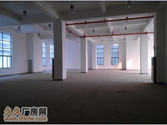独立5层 (4000㎡框架)研发生产厂房-图3
