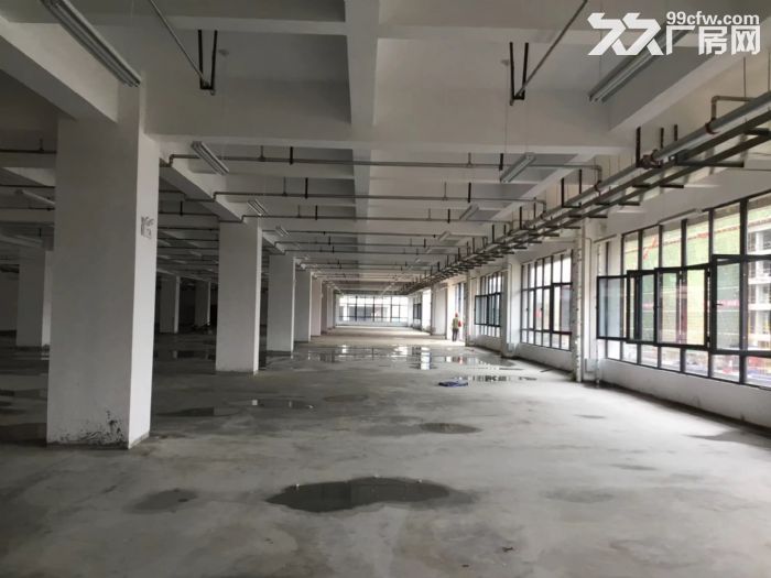 现成厂房，出租出售，手续齐全-图2