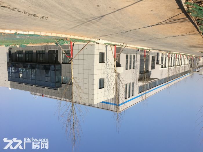 现成厂房，出租出售，手续齐全-图7