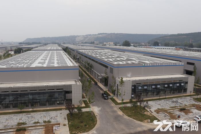 蔡家坡百万米标准化厂房可租可售-图2